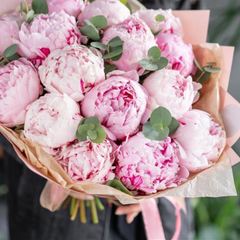 Buchet cu 15 bujori roz