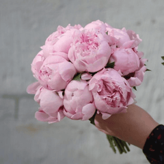 Buchet mireasa “Elle” cu bujori roz