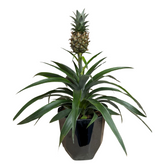 Ananas tropical decorativ – H40 cm în ghiveci ceramic
