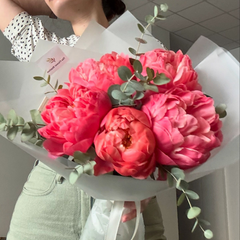 Buchet cu 5 bujori Coral